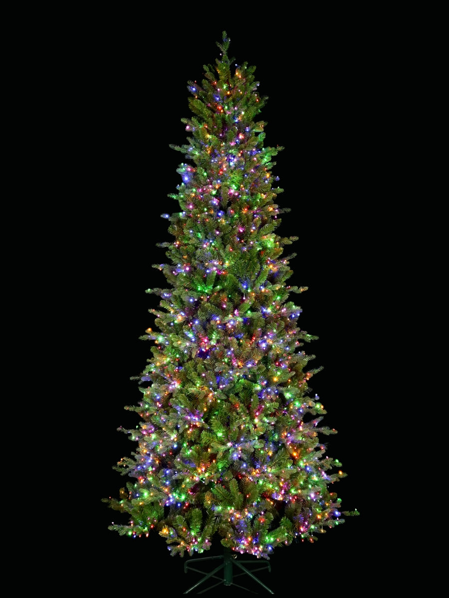 Alberta Slim Spruce 9'